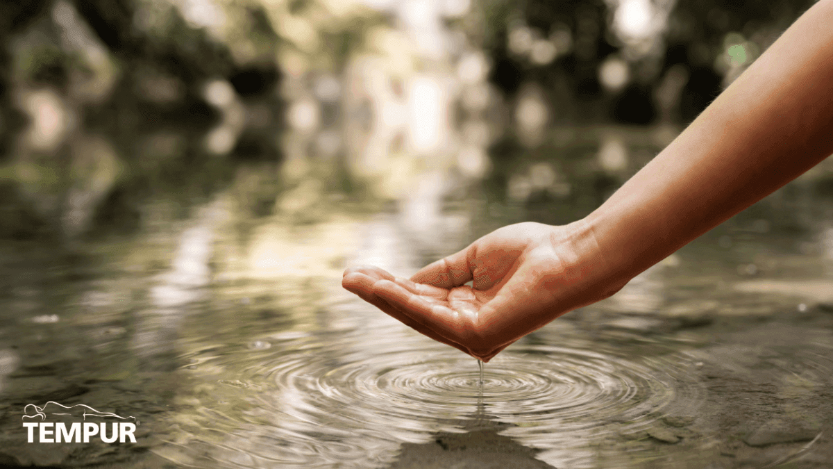 Tempur’s Green Revolution: Building a Sustainable Sleep Legacy